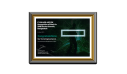 Recognition of Merit in SMB Market Growth.